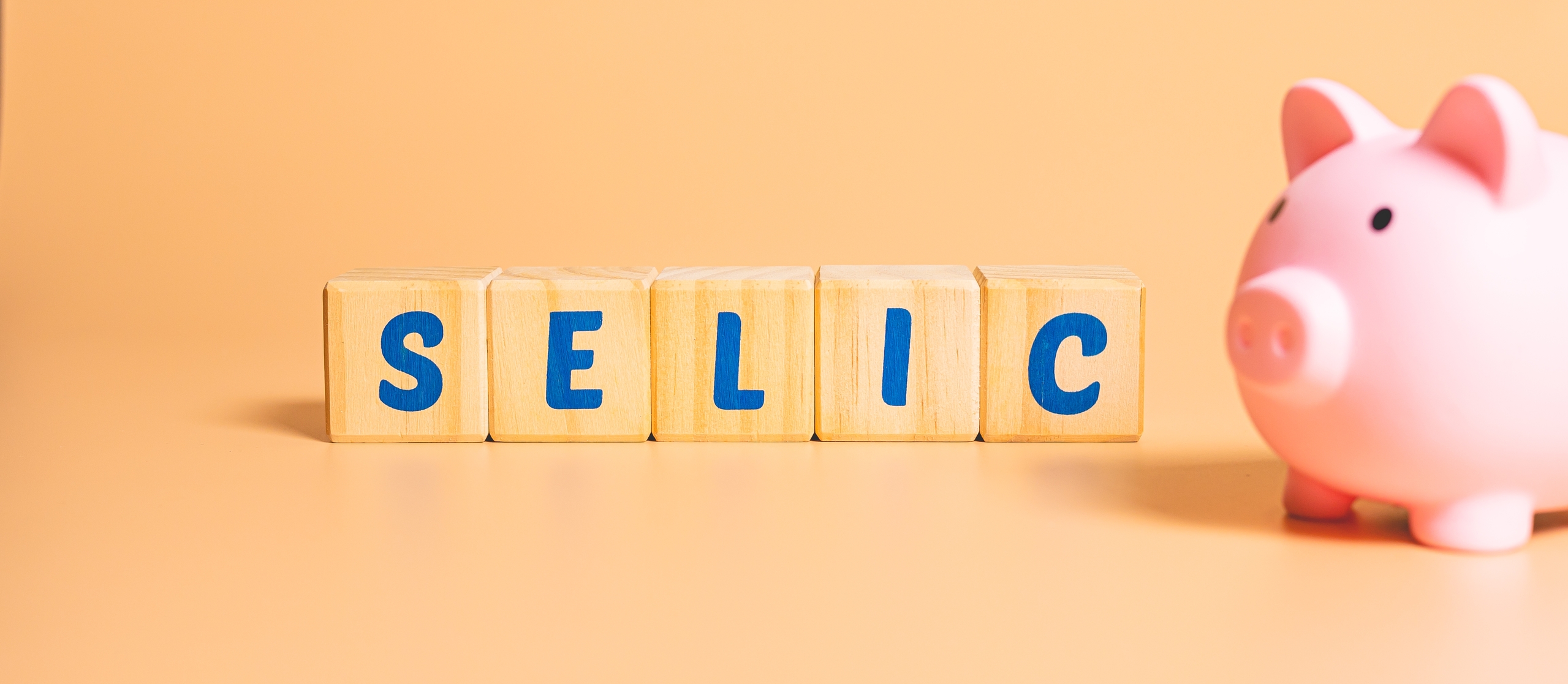 Tudo sobre a Selic!