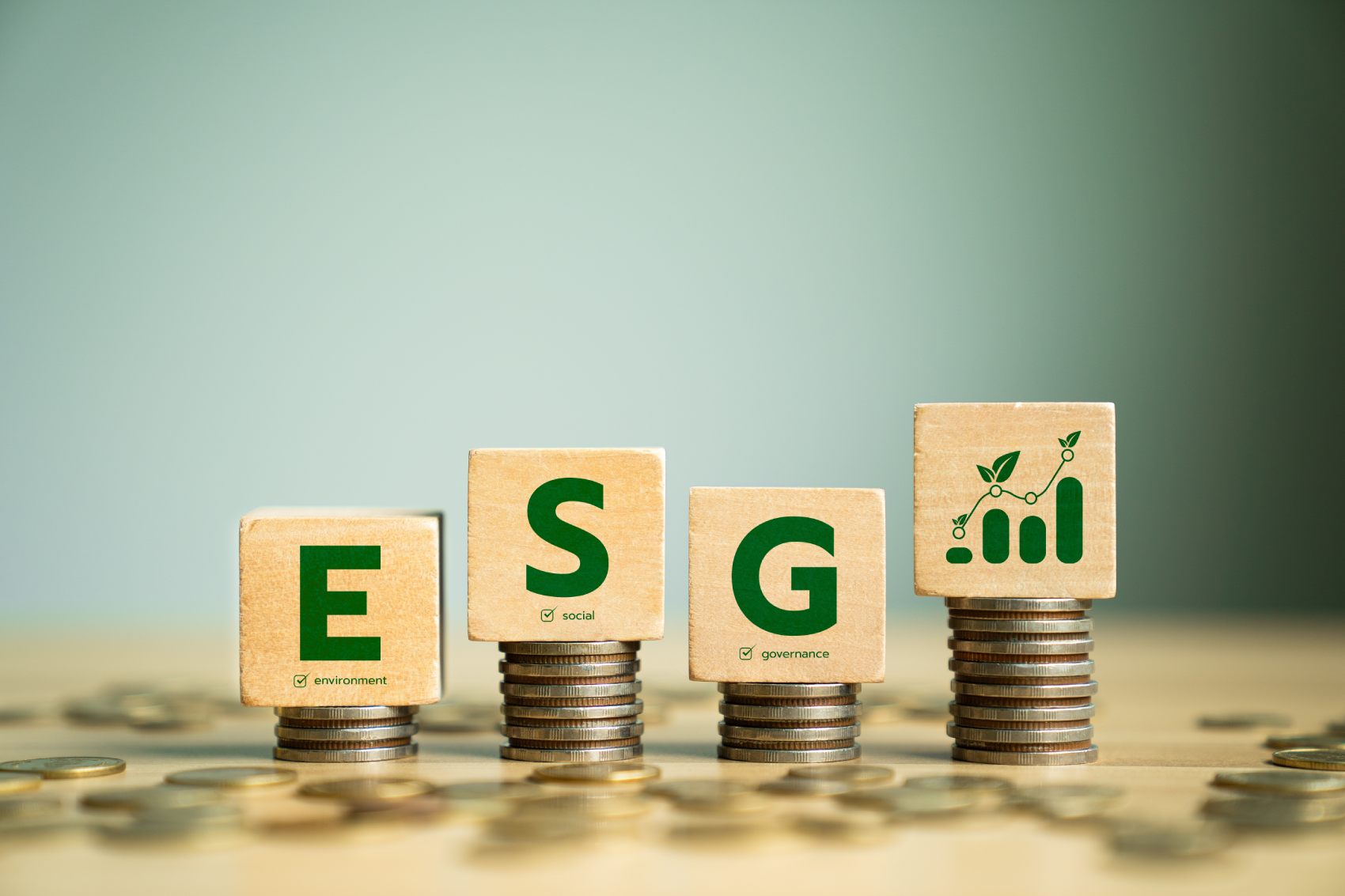 o que é ESG