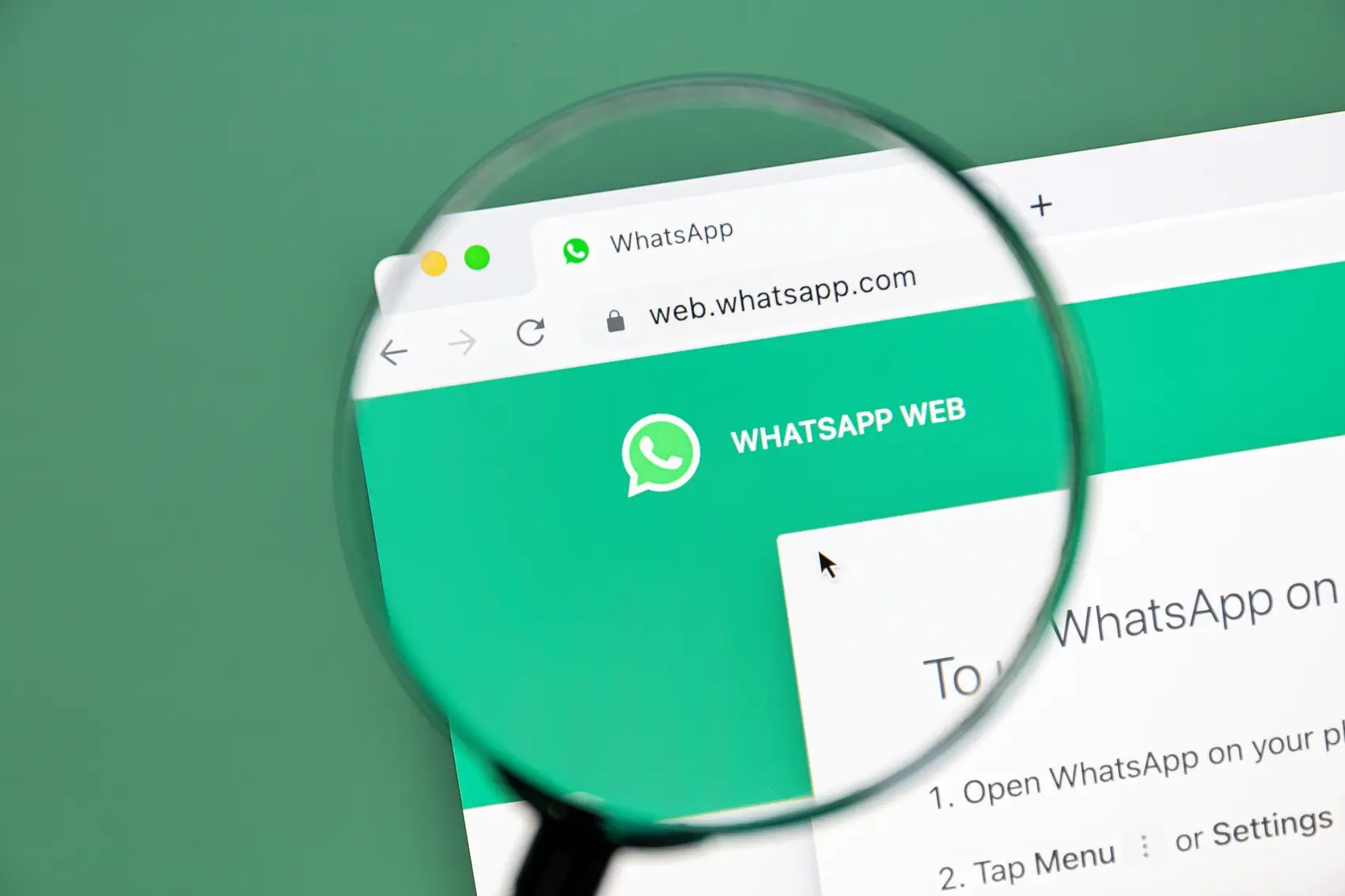 golpe boto cor-de-rosa -- lupa destacando a url do whatsapp